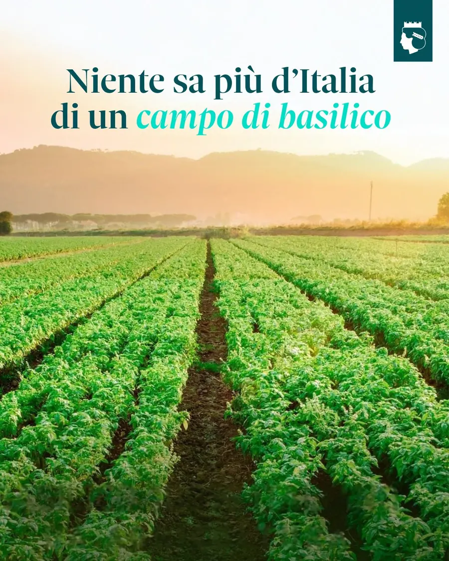 Barilla: La filiera Barilla raccontata dagli stabilimenti, contenuto 3