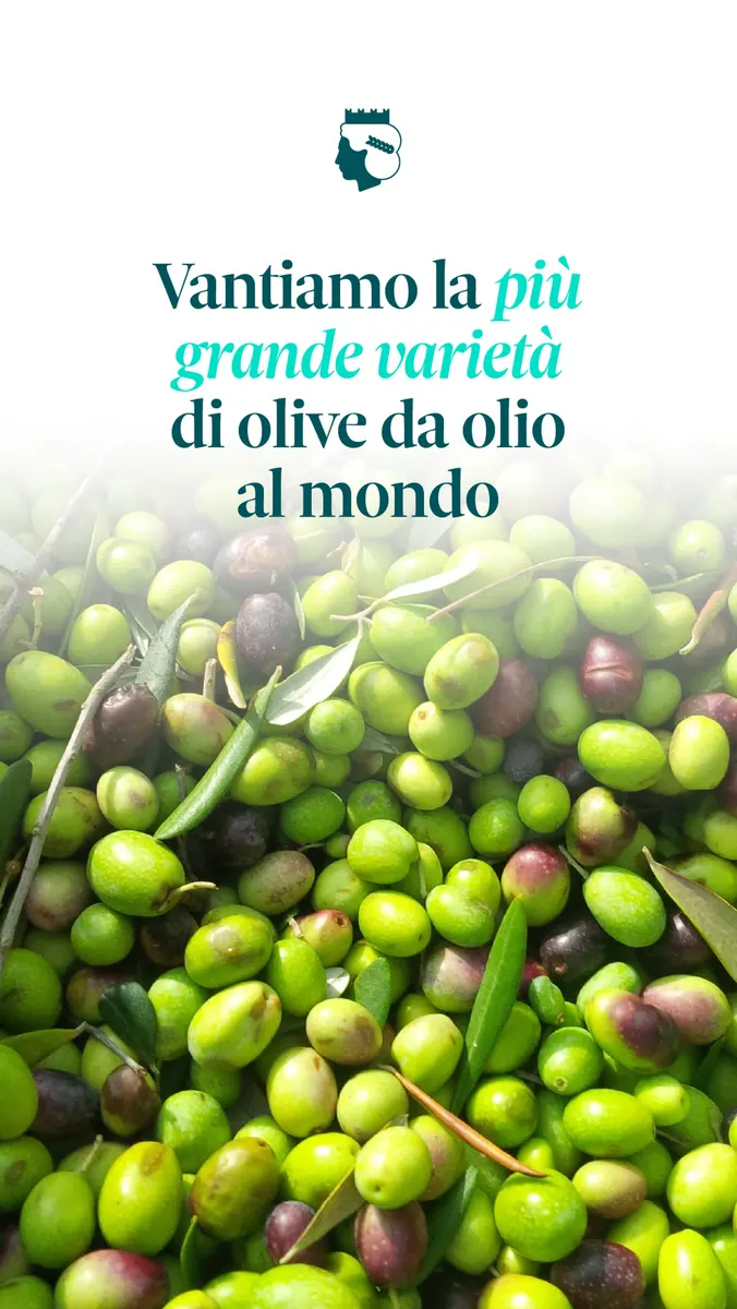 Eataly: Pasta e olio: riconoscere la qualità, contenuto 2