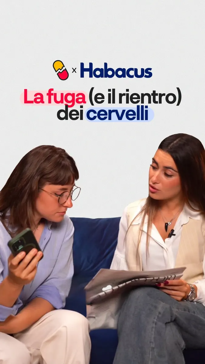 Habacus: Borse di studio e prestiti universitari, contenuto 2