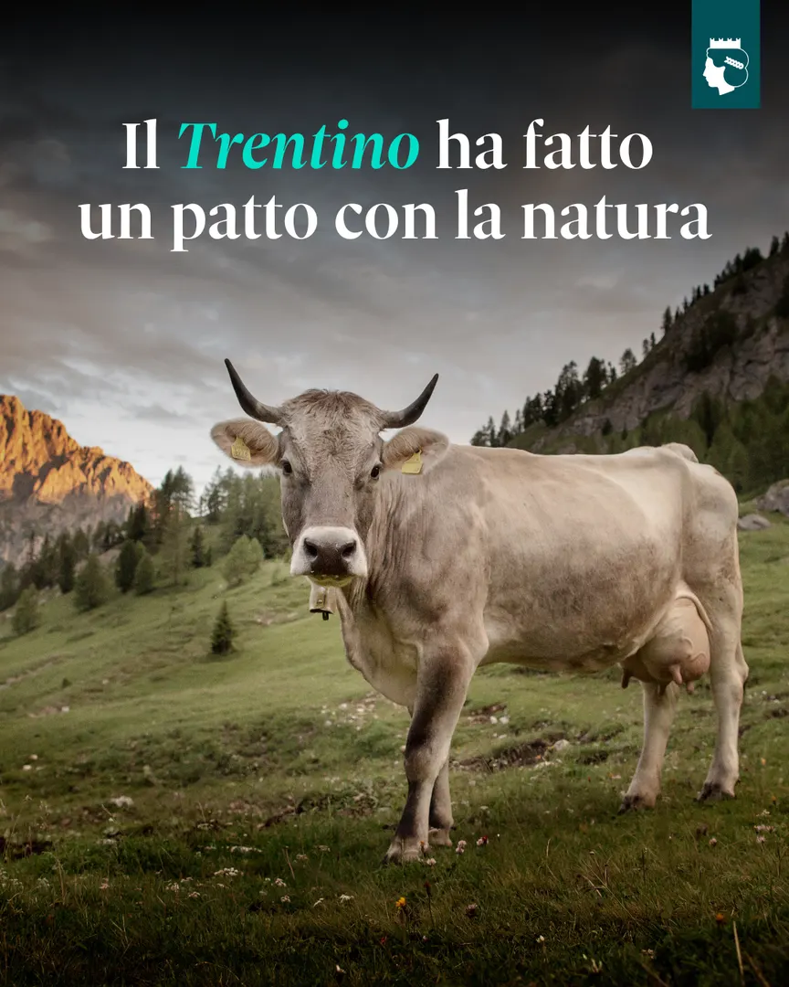 Trentino Marketing: Autumnus 2025 e l'enogastronomia trentina, contenuto 1
