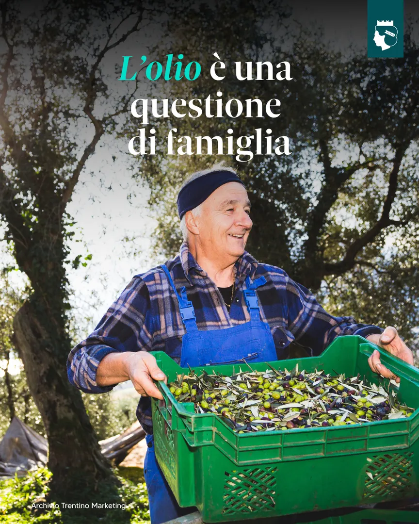 Trentino Marketing: Autumnus 2025 e l'enogastronomia trentina, contenuto 3