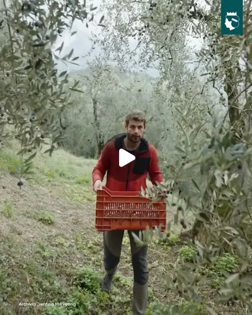 Trentino Marketing: Autumnus 2025 e l'enogastronomia trentina, contenuto 2